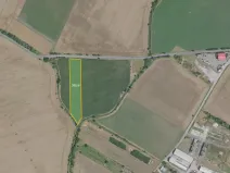 Prodej pole, Sudovo Hlavno, 9362 m2