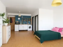 Pronájem bytu 1+kk, Ostrava - Moravská Ostrava, Hornopolní, 16 m2