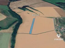 Prodej podílu pole, Březolupy, 1823 m2