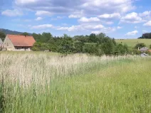 Dražba pozemku, Meziměstí, 2273 m2