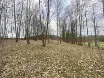 Dražba louky, Žinkovy, 4100 m2