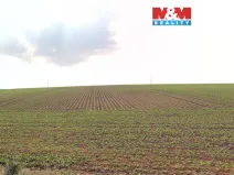 Prodej pole, Štěpánkovice, 2579 m2