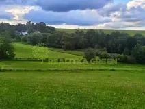 Prodej louky, Světlá nad Sázavou, 41681 m2