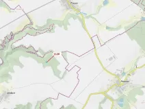 Dražba lesa, Náměšť nad Oslavou, 931 m2