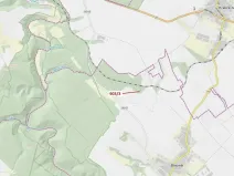 Dražba lesa, Březník, 234 m2