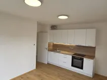 Pronájem bytu 2+kk, Praha - Chodov, K dubu, 41 m2