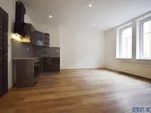 Pronájem bytu 3+kk, Ústí nad Labem - Střekov, Zeyerova, 50 m2