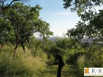 Prodej zahrady, Brno - Židenice, 1227 m2