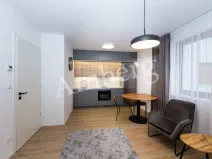 Pronájem bytu 1+kk, Praha - Karlín, Křižíkova, 32 m2