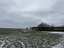 Dražba pole, Vyškov, 89174 m2