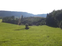 Prodej pole, Dolní Dobrouč - Horní Dobrouč, 71151 m2