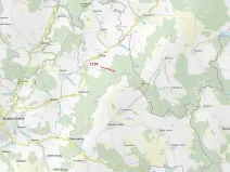 Dražba lesa, Vilice, 2384 m2