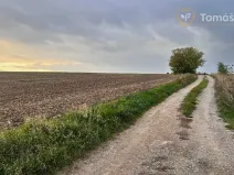 Prodej pole, Brno, 3269 m2