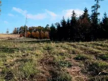 Prodej lesa, Vladislav, 8722 m2