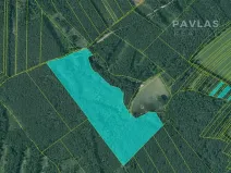 Prodej lesa, Domanín, 106026 m2