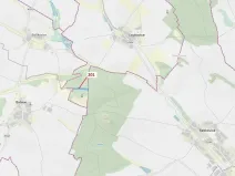 Dražba lesa, Loukovice, 7796 m2