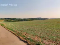 Prodej pole, Diváky, 4049 m2
