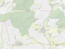 Dražba lesa, Milavče, 1643 m2