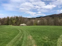 Prodej louky, Frýdlant nad Ostravicí, 44238 m2