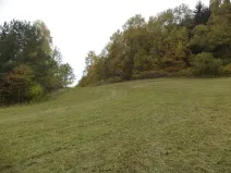 Dražba pozemku pro bydlení, Vidochov, 4068 m2