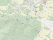 Dražba lesa, Pačejov, 3251 m2