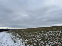 Dražba pole, Litoměřice, 8107 m2