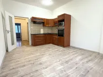 Prodej bytu 1+1, Plzeň, Tělocvičná, 47 m2