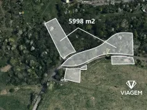 Prodej lesa, Ústí nad Labem, 5998 m2