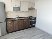 Pronájem bytu 1+1, Ostrava, Ahepjukova, 37 m2