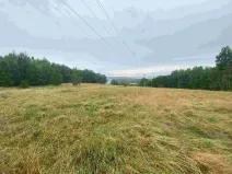 Prodej pole, Nové Sedlo - Loučky, 49321 m2