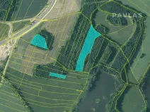 Prodej lesa, Stráž nad Nežárkou, 25076 m2