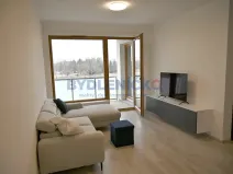 Pronájem bytu 2+kk, České Budějovice, U Lučního jezu, 61 m2