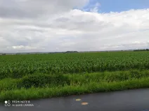 Prodej pozemku pro bydlení, Dolní Ředice, 12434 m2