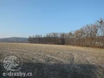 Dražba pole, Semanín, 9293 m2