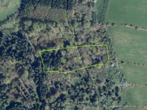 Dražba louky, Petrovice, 14239 m2