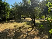 Pronájem zahrady, Olomouc, 1051 m2