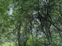 Prodej podílu pozemku, Suchdol, 3247 m2