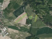 Prodej pole, Borek, 36010 m2