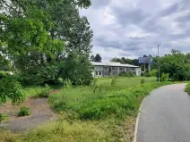 Prodej lesa, Pardubice, 2461 m2