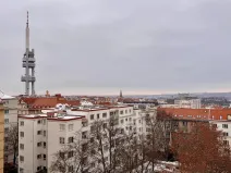 Prodej bytu 2+kk, Praha - Žižkov, Lucemburská, 80 m2