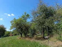 Prodej zahrady, Bojkovice, 1208 m2