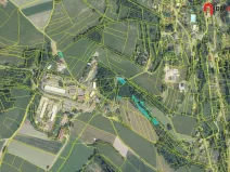 Prodej lesa, Zlatá Olešnice, 1248 m2