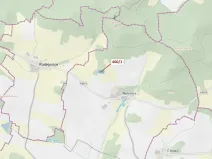 Dražba lesa, Bílsko, 3965 m2