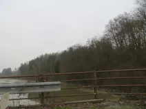 Dražba lesa, Zlín, 6641 m2