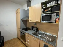 Pronájem bytu 1+kk, Brno, Kosmova, 40 m2