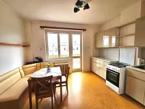 Prodej bytu 1+1, Praha - Vinohrady, Písecká, 52 m2