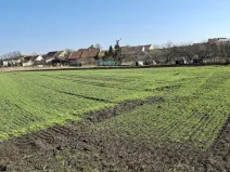 Prodej pozemku, Moutnice, 1320 m2