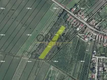 Prodej podílu pole, Moravský Žižkov, 1898 m2