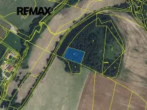 Prodej lesa, Písařov, 2762 m2