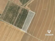 Prodej podílu pole, Chotiněves, 3600 m2